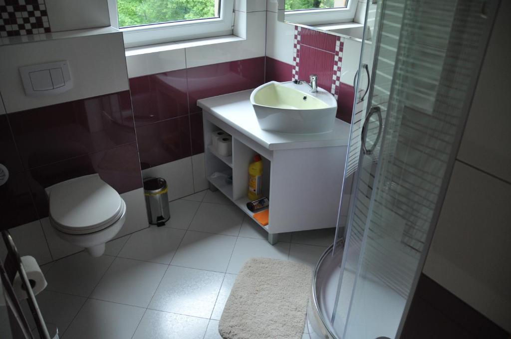 Willa Stenia Center Apartamenty Висла Стая снимка