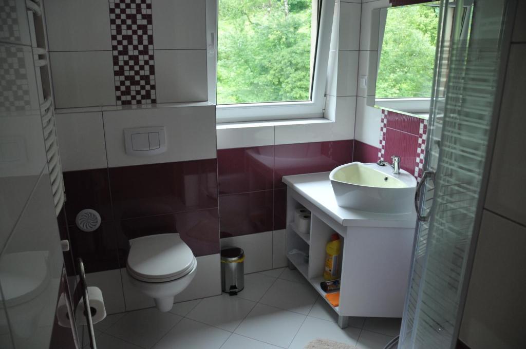 Willa Stenia Center Apartamenty Висла Стая снимка